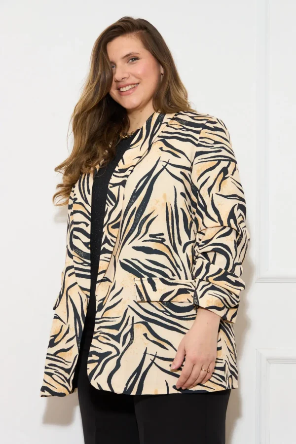 AM 30264 12 ZEBRA (2)