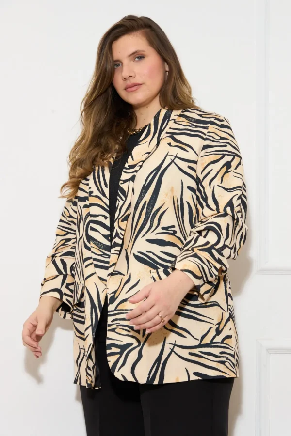 AM 30264 12 ZEBRA (3)
