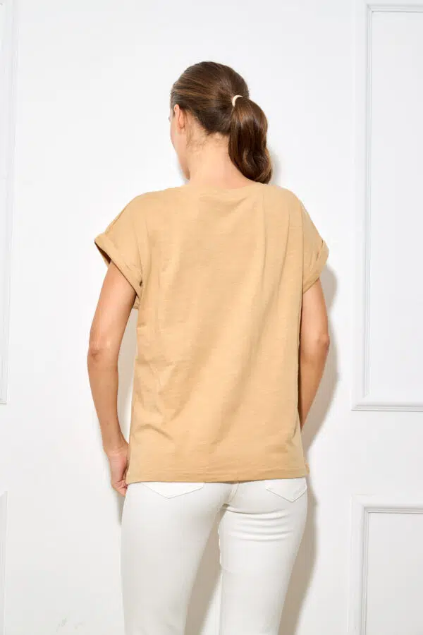 SJ F2363 3 CAMEL (5)