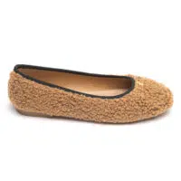 IDL 6667 CAMEL (2)