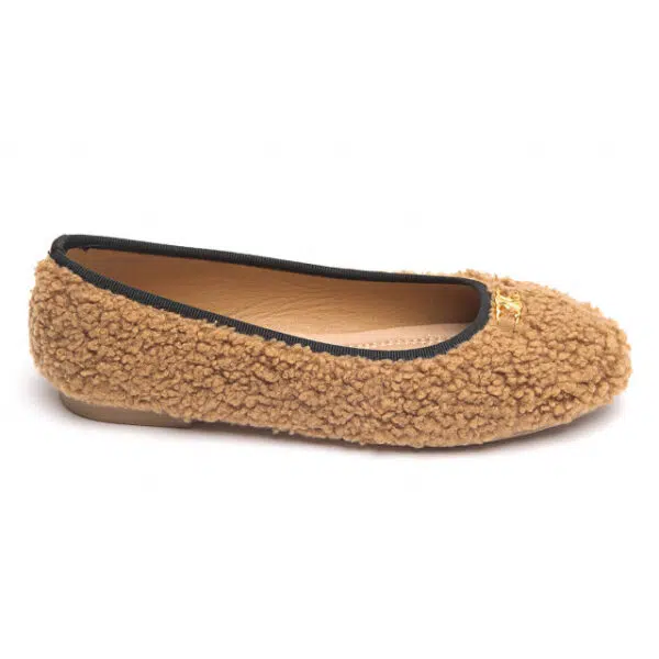 IDL 6667 CAMEL (2)