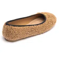 IDL 6667 CAMEL (4)