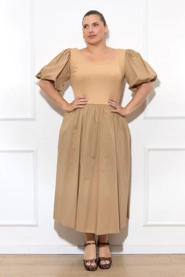 IV AC55895 BEIGE (2)