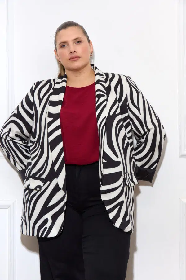 MLY 6099 ZEBRA 4446 1