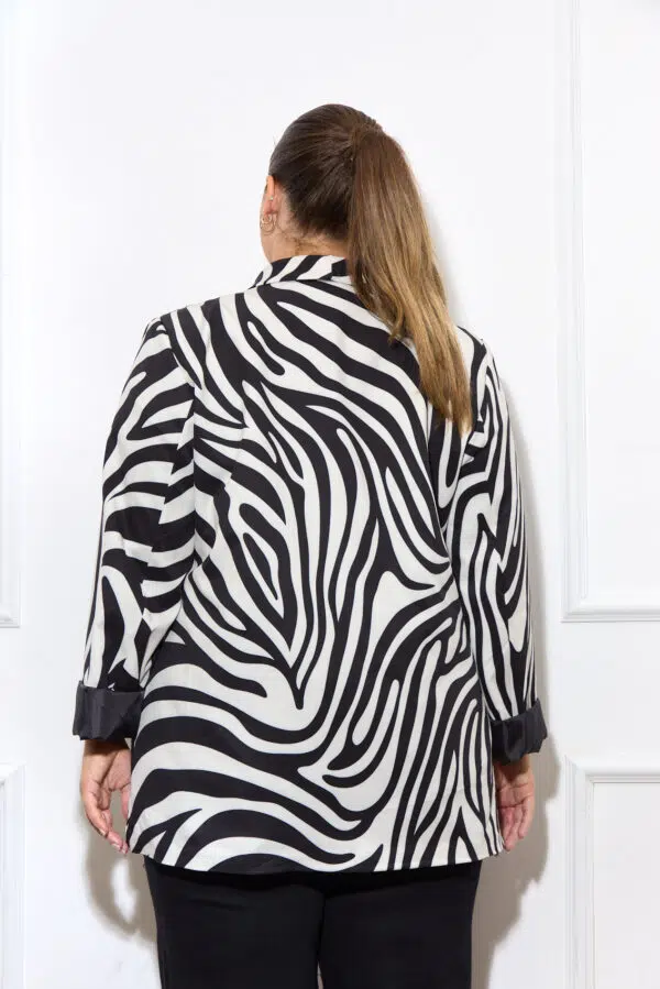 MLY 6099 ZEBRA 4446 4