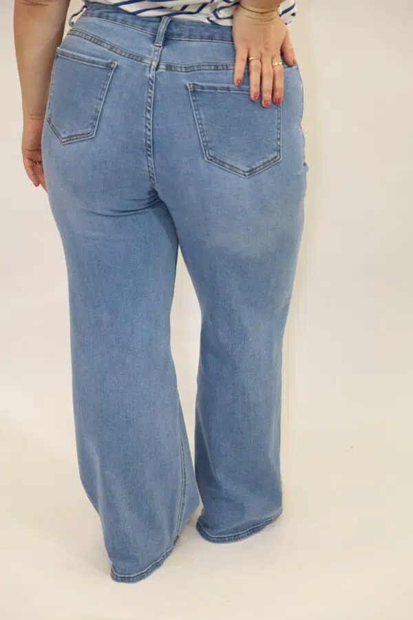 DL D3009 BLUE (4)
