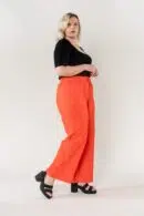NC A002 38 ORANGE3