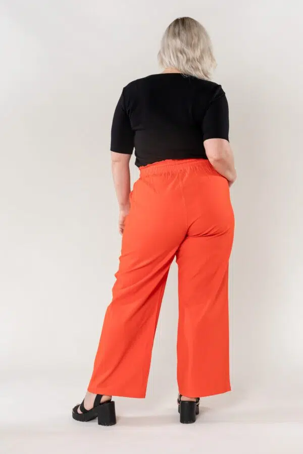 NC A002 38 ORANGE4