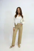 SJ M673 6 CAMEL (2)