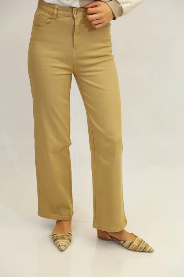 SJ M673 6 CAMEL (3)