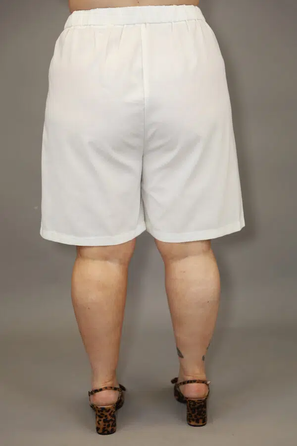 IV ACP6113 C WHITE5