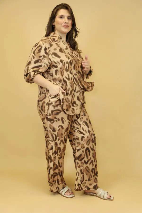 CHR BD0038 1 B CAMEL2