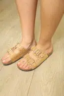 IDL 1150 CAMEL