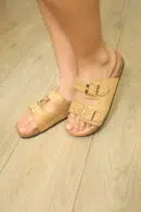 IDL 1150 CAMEL (2)