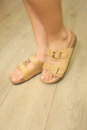 IDL 1150 CAMEL (2)