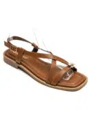 IDL 2278 CAMEL4