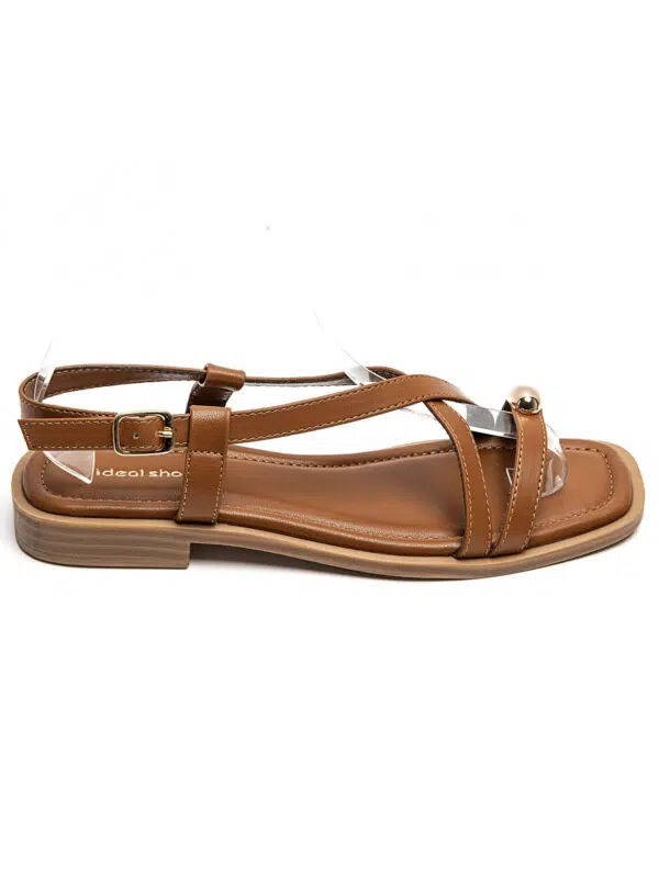 IDL 2278 CAMEL5