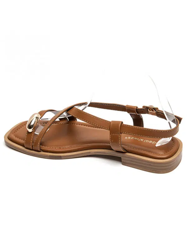 IDL 2278 CAMEL6