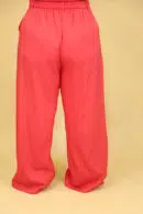 IV ACP6116 CERISE (4)
