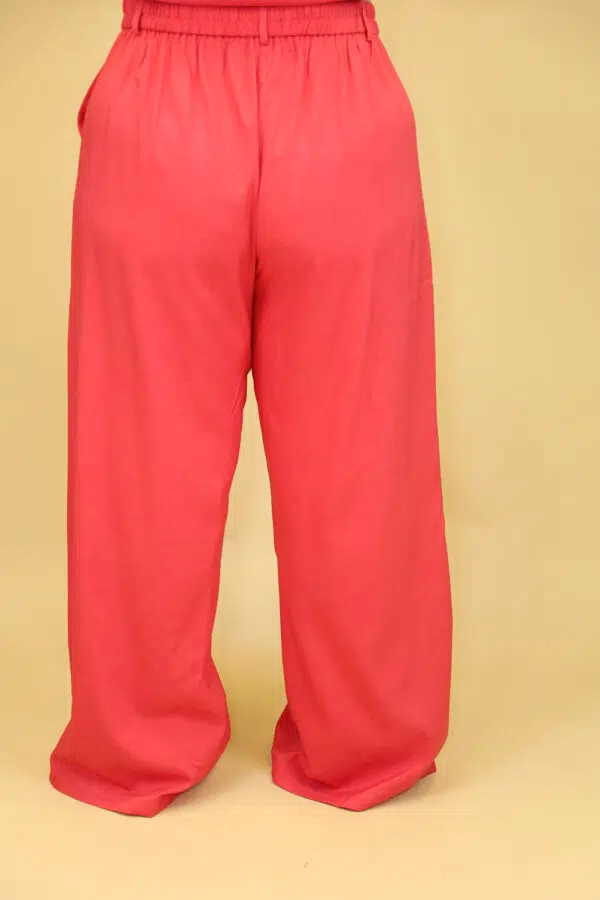 IV ACP6116 CERISE (4)