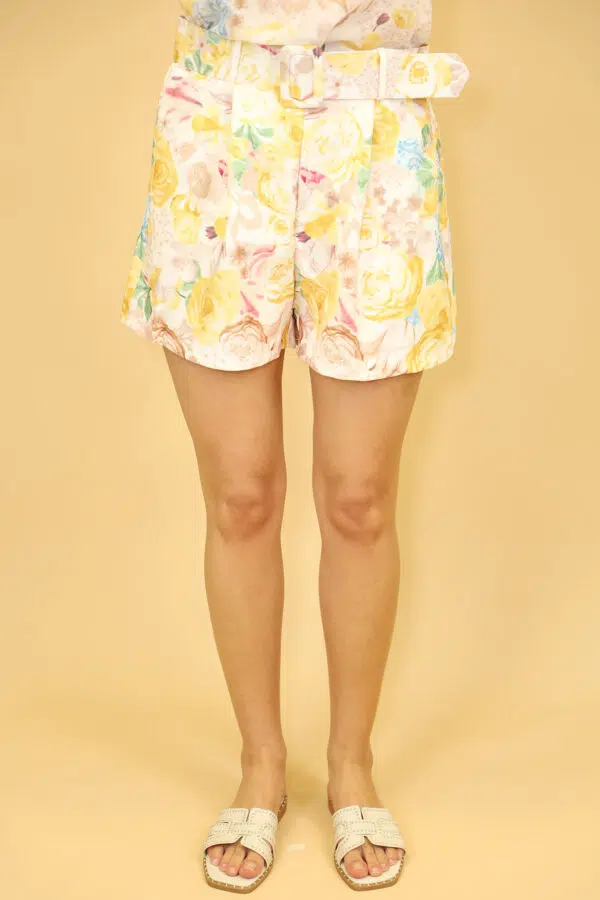 IV PR26646 YELLOW (3)