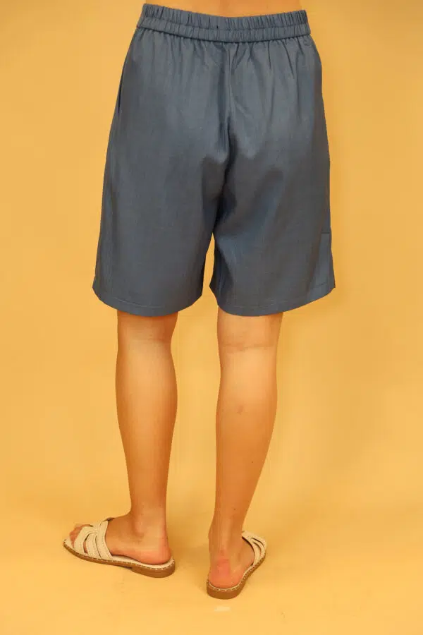 IV VP3007 BLUE (6)