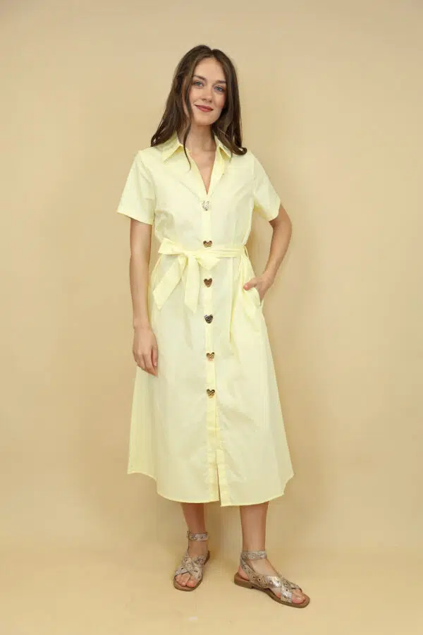 JSM BR5805 YELLOW (2)