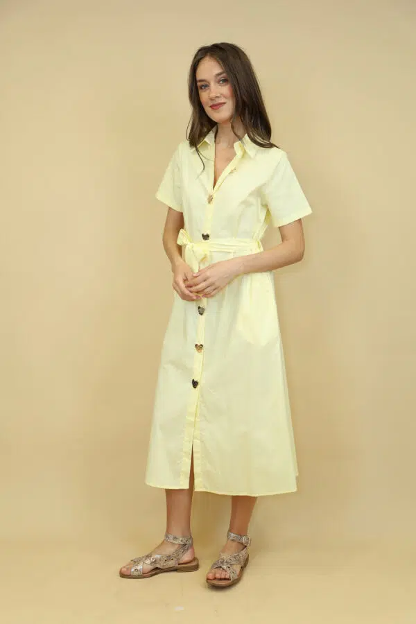 JSM BR5805 YELLOW (3)
