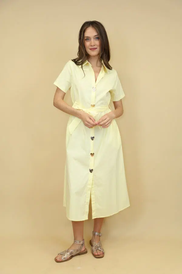 JSM BR5805 YELLOW (4)