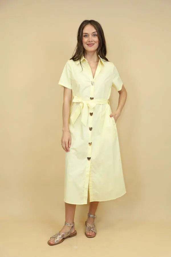 JSM BR5805 YELLOW