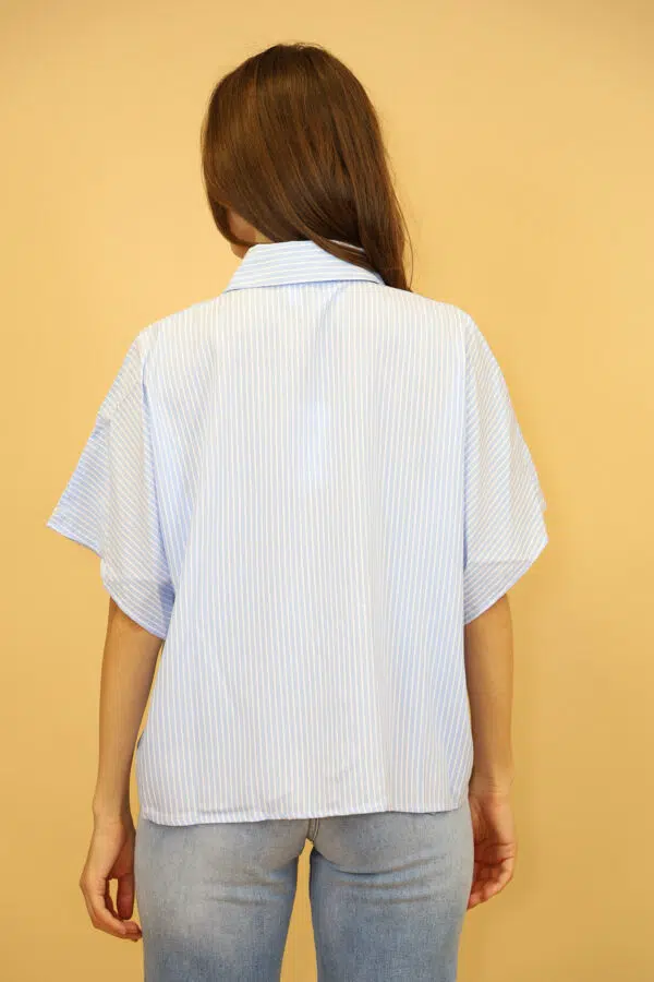 JSM CH2951 BLUE (4)